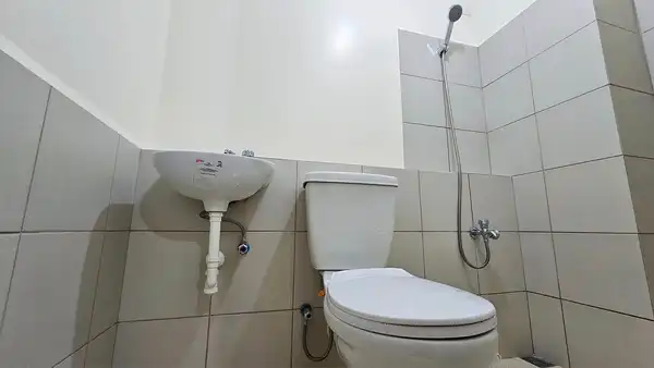 dormyph for rent