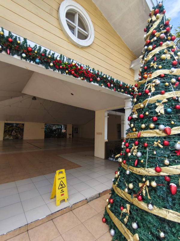dormyph for rent