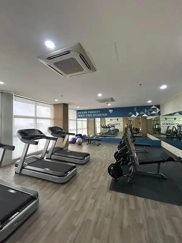 dormyph for rent