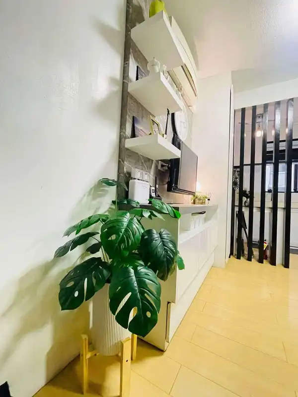 dormyph for rent