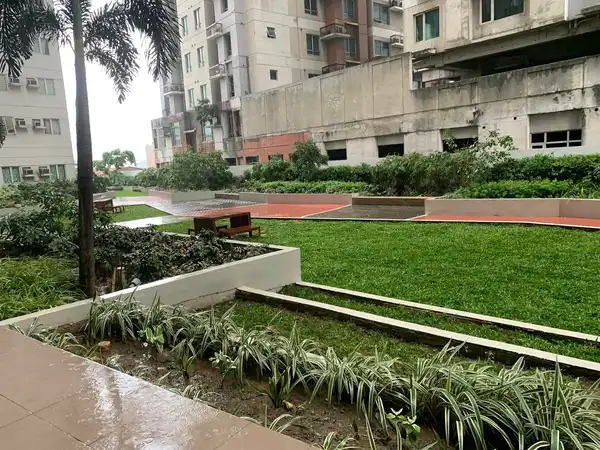 dormyph for rent