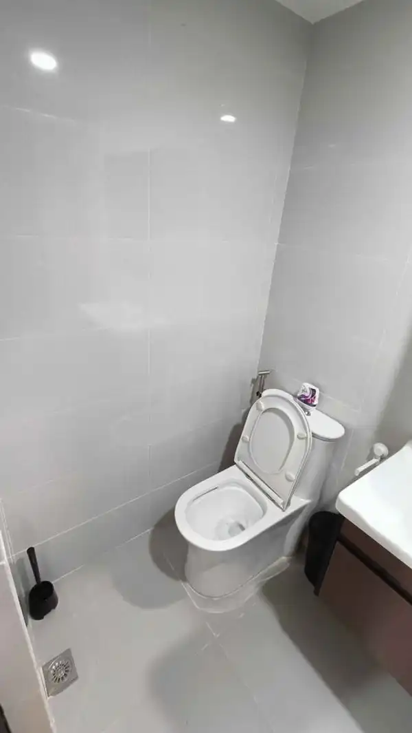dormyph for rent