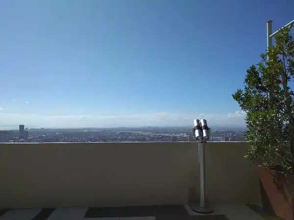 dormyph for rent