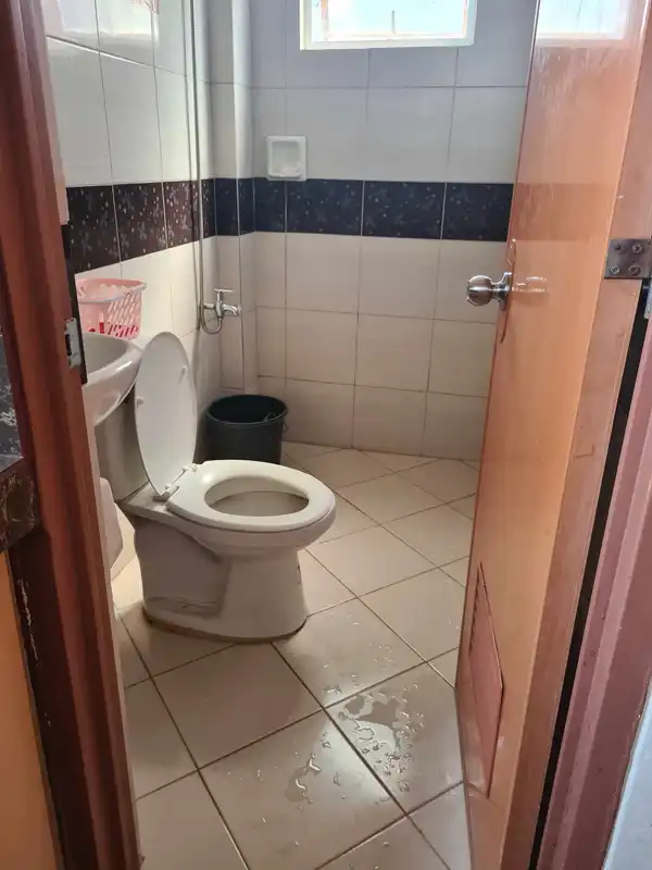 dormyph for rent