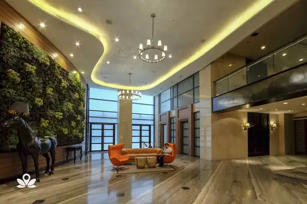 dormyph for rent