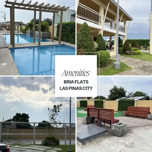 dormyph for rent