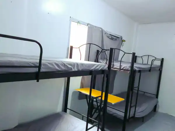 dormyph for rent