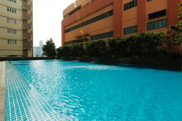 dormyph for rent