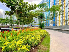 Dormy 599 - Condo Sharing Female Bedspace in Ortigas near CBD IPI Makati Eastwood
