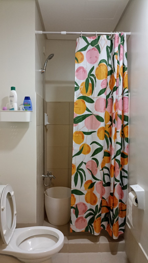 Dormy 485 - 2BR Unit In Vine Residences, SM Novaliches, QC