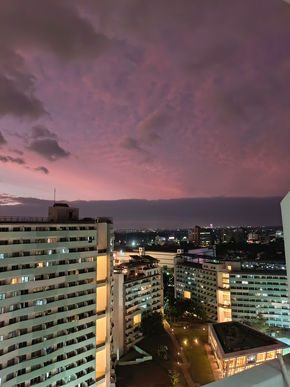 Dormy 52 - The Residences at Commonwealth by Century