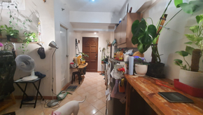 Dormy 284 - 1-bedroom with balcony condo for rent