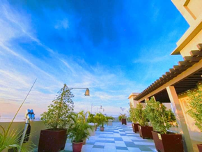 Dormy 334 - Looking for CONDO near DLSU and CSB? 