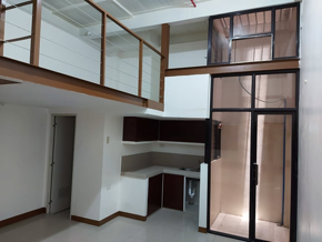 Dormy 246 - 35sqm loft type pet friendly, beside lrt pureza station