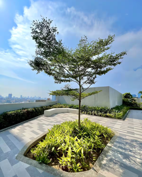 Dormy 597 - Fully Furnished 1 Bedroom Unit with Balcony and a Beautiful City View